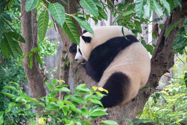 西南旅游
