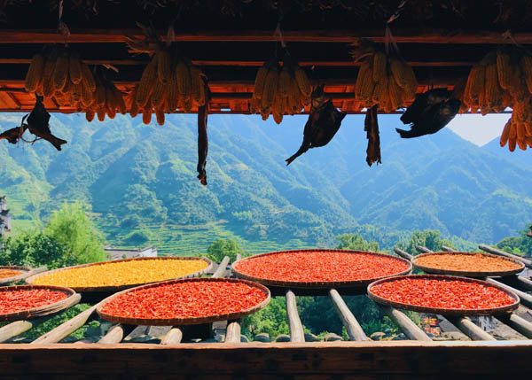 國內(nèi)旅游