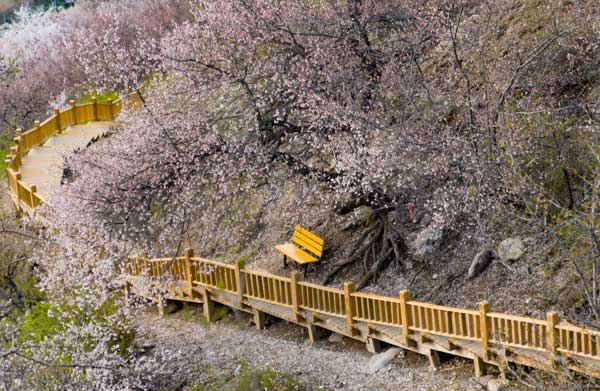 新疆旅游