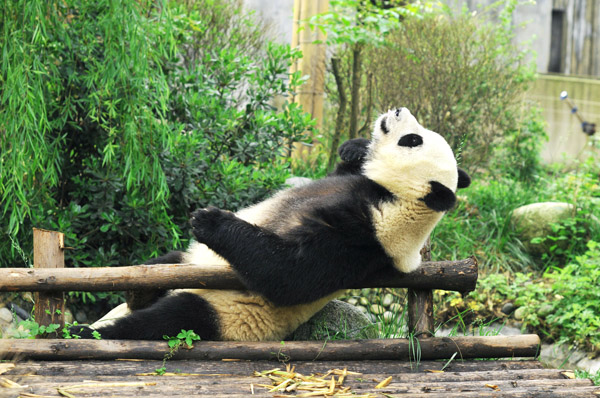 西南旅游