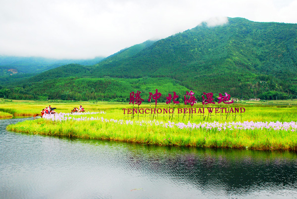 西南旅游